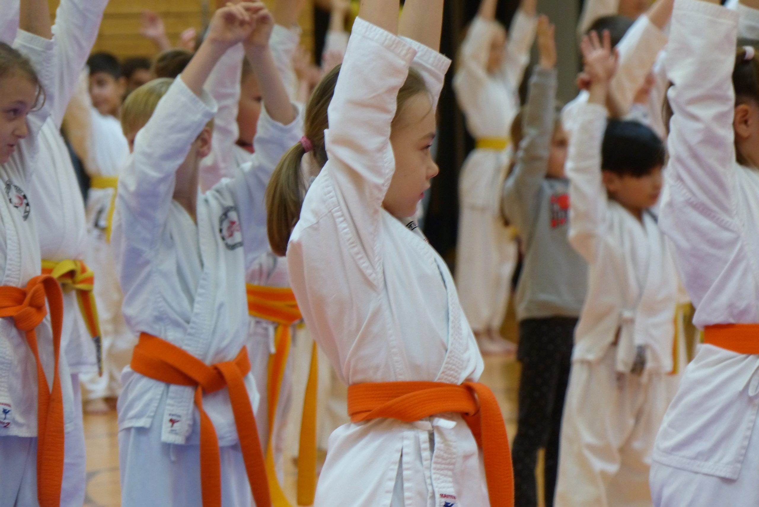 Spezialtraining